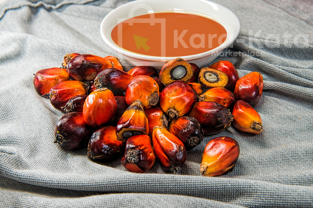 Palm Oil