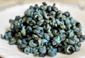 Periwinkle